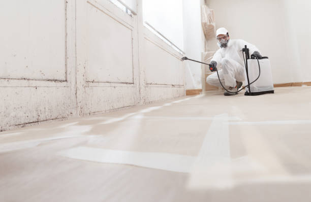 24/7 Emergency Black Mold Remediation experts in Poulsbo, WA