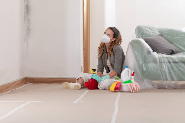 Reliable Black Mold Remediation contractor in Poulsbo, WA by Mold Remediation HQ